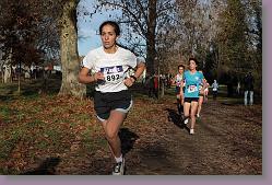 Begles 15.12.13 01 773 * 679 x 453 * (169KB)